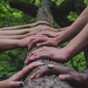 Shane Rounce Unsplash Waarom Social Finance