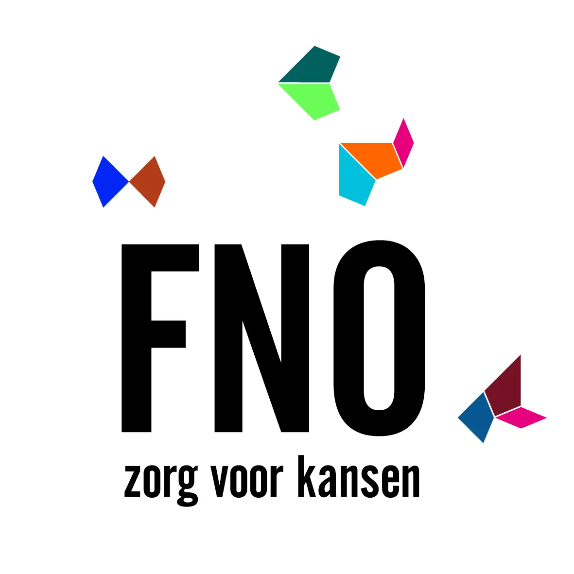 LOGO_FNO_2025