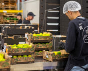 Sociaal Innovatiefonds IF InstockMarket header