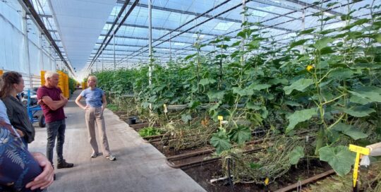 Ontwikkeling Agri-Health Outcome Payment Model (AHOPM) HarvestCare